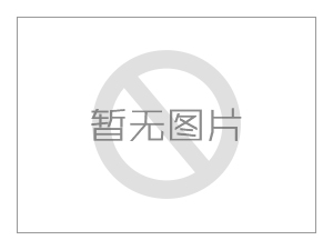 发展历程